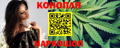 стаф Гусев
